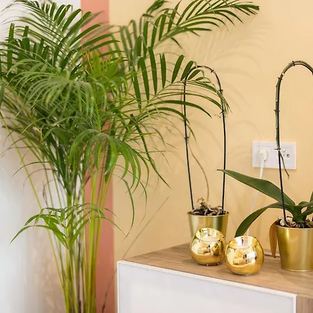 Apartament Your - Duque De Palmela