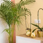 Apartamento Your - Duque De Palmela