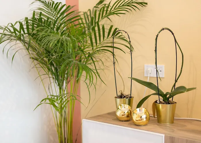 Διαμέρισμα Your - Duque De Palmela